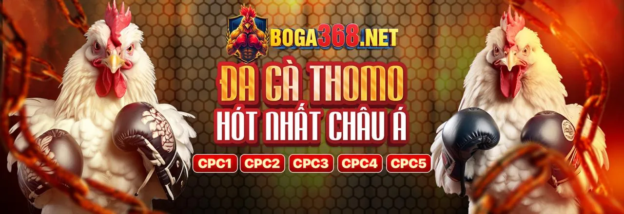 Bảo mật tại 8day nhà cái
