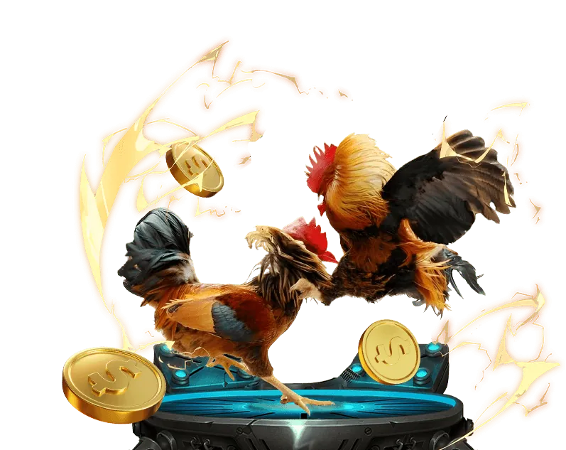 8day nhà cái - Nền tảng cá cược uy tín